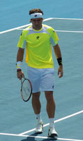 David Ferrer